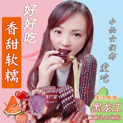 25年头茬6-7斤】源头东北黑糯玉米甜糯玉米棒无添加早餐真空熟鲜