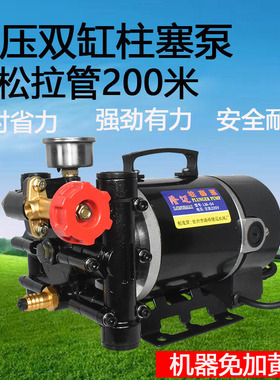 隆迈手提式打药机农用电动果树喷雾器12v60v24v220伏双缸柱塞泵