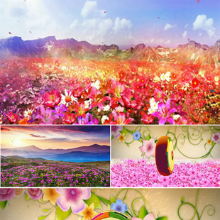 朝鲜族民歌阿里郎 舞台表演背景金达莱led视频素材阿里郎舞蹈背景