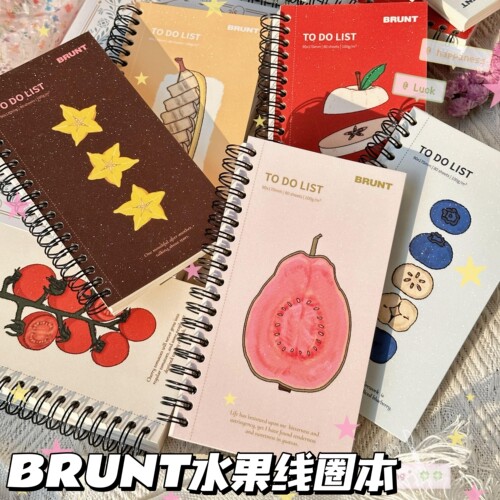 BRUNT水果todolist线圈计划本