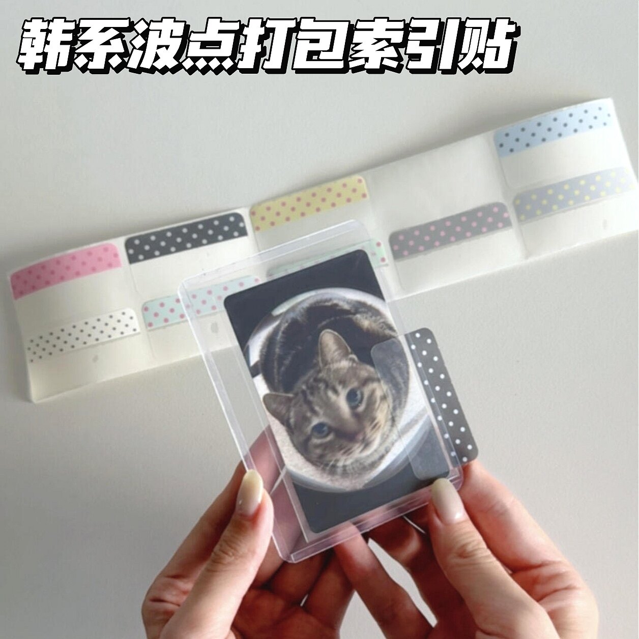 韩系ins波点小卡打包素材索引贴