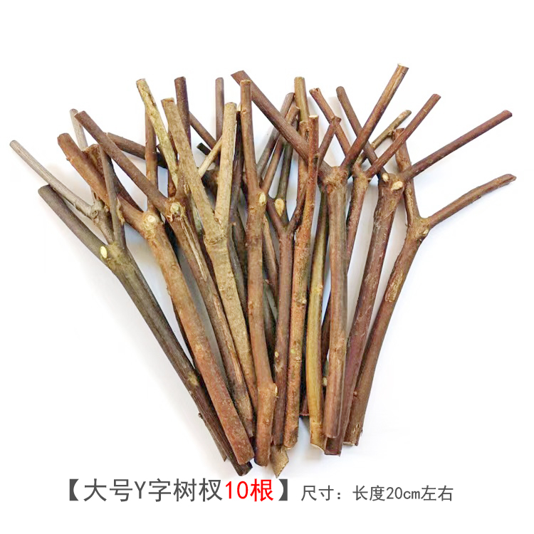 树枝树杈材料装饰天然枯枝花束幼儿园手工diy树干枝条创意原木画