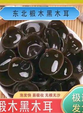 东北黑木耳干货特级500g秋木耳小云耳野生商用特产脆毛一级小碗耳
