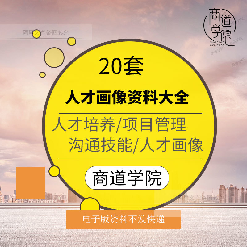 企业公司管理人才画像地图bp人才培养项目管理coe沟通技能资料