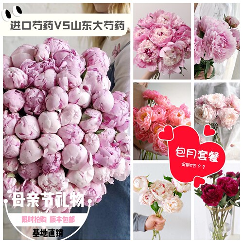 【芍药组合套餐】4月中下旬莎莎进口芍药鲜花重瓣婚礼水养插花