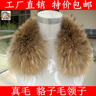貉子毛领子方领整皮真毛狐狸围脖女冬季 翻领圆领单买单卖支持定做