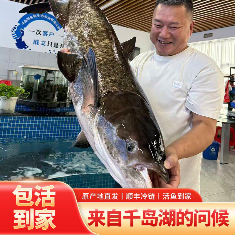 正宗千岛湖淳牌有机鱼活鱼/现宰包邮