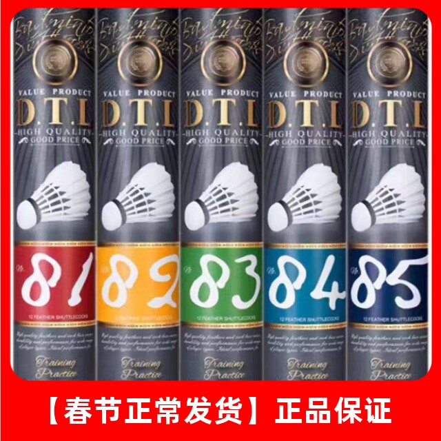 RSL亚狮龙羽毛球耐打训练球正品大桐利DTL85 84 83 82 81练习训练