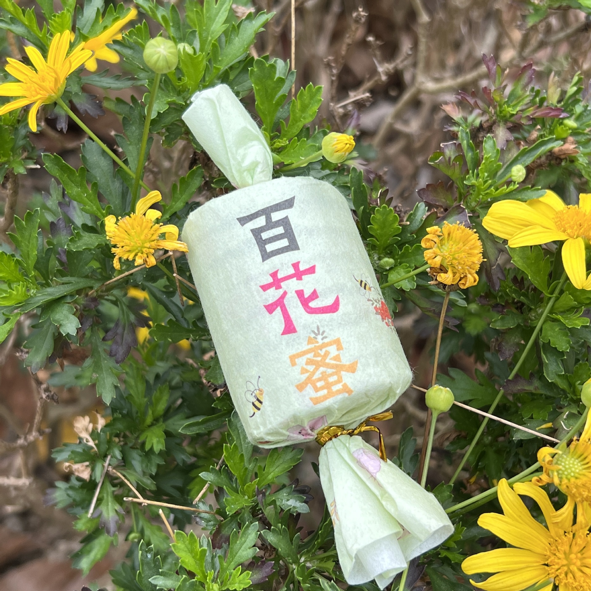 云南百花蜜白茶糖果小饼茶便携式小茶饼老白茶茶叶四季花蜜茶饮