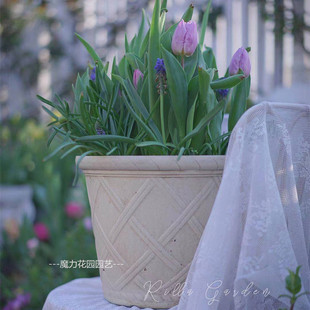 推荐款 出口塑料花盆仿石花盆仿古花盆做旧花盆欧式花盆月季盆