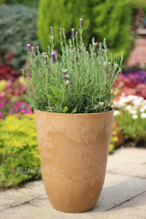 环球花盆新品仿马来西亚Artstone仿石仿水泥花盆简欧盆琴叶榕盆