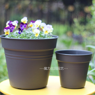 新品环球塑料花盆 种植盆 霍伦系列 标准盆170   标准260  加仑盆