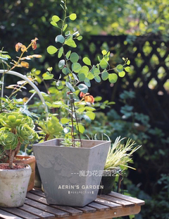 环球塑料花盆新品仿马来西亚Artstone仿石树脂仿水泥花盆