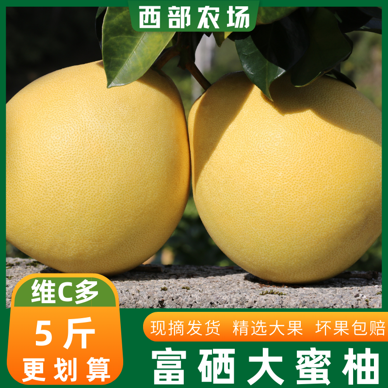 白心蜜柚子肉厚皮薄汁多口感脆甜非文旦沙田冰糖湖北宣恩特产水果