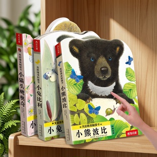 小熊波比触摸书 3岁乐乐趣幼儿亮丽精美小兔比利认知不易撕烂感官刺激机关益智玩具儿童启蒙1岁2翻翻洞洞书 蒙氏早教绘本婴儿宝宝0