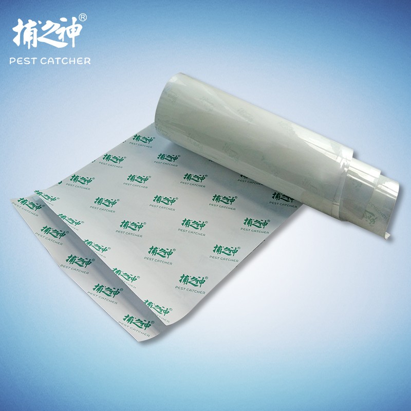 捕之神GM820/821灭蝇灯透明粘纸