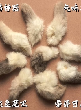 猫咪丰容玩具真天然颜色兔尾巴气味丰容闻嗅自嗨解闷逗猫兔尾巴