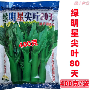 亚明绿明星尖叶80天菜心种子基地专用油青甜菜心春秋冬季蔬菜种孑