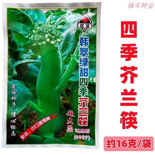 韩翠绿甜中迟熟芥兰筷种子粗条甜茎粗芥蓝笋春夏秋冬季蔬菜种孑
