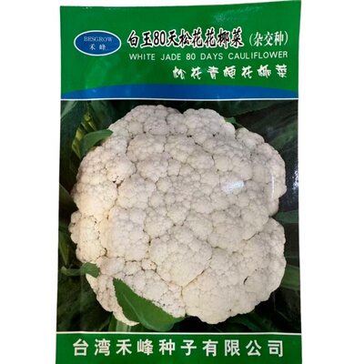 台湾禾峰白玉80天青梗松花菜种子青梗花椰菜细米粒春秋季蔬菜种孑