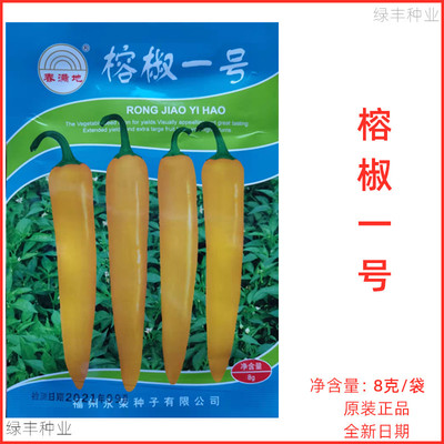 永荣榕椒一号黄椒种子黄辣椒永安黄椒香辣椒良种春秋季蔬菜种孑
