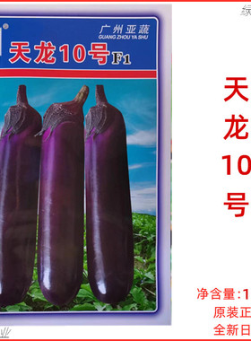 广州亚蔬天龙10号茄子种子中熟深紫色可作烧烤茄子耐高温茄子种孑