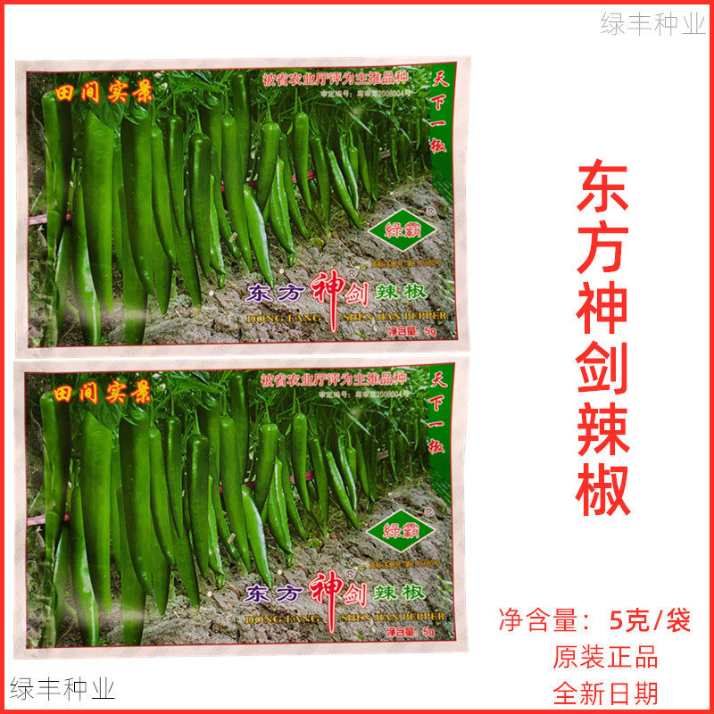 绿霸 东方神剑辣椒种子中早熟绿色尖椒良种春夏秋季蔬菜种孑
