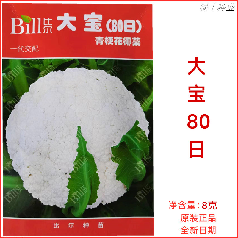 大宝80日天青梗花菜种子花椰菜青梗松花菜良种春秋冬季蔬菜种孑
