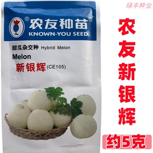 农友新银辉甜瓜种子早生 杂交 薄皮白肉香甜水果型台湾香甜瓜种孑