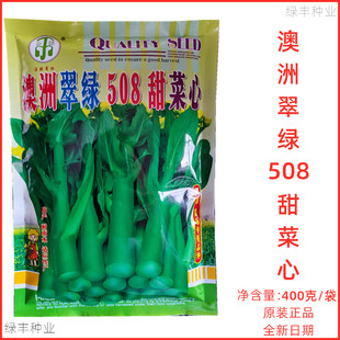 澳洲翠绿508甜菜心种子碧绿油青甜菜心小白菜种籽春秋季蔬菜良种