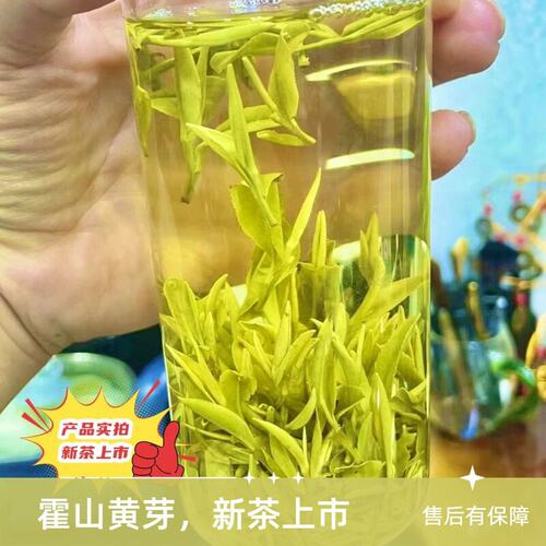 2025新茶霍山黄芽安徽高山茶黄茶明前春茶新茶茶叶浓香栗香味袋装