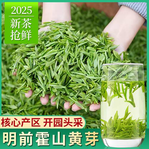 明前头采特级霍山黄芽2025新茶安徽黄茶春茶250克茶叶罐装高山茶