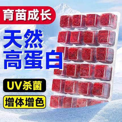 冰冻红虫小型雷龙育苗幼鱼开口食物保鲜雷龙鱼苗专用小虫带苗饲料