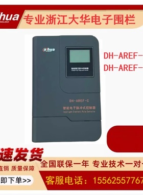 浙江大华电子围栏双防区网络脉冲报警器主机DH-AREF-C02-NP现货