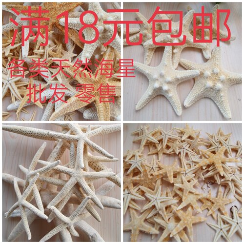 海底洋天然海星批发