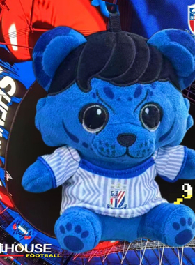 上海申花球衣布鲁娃，配2件主客球衣，可充值交通卡SFCBZ1111