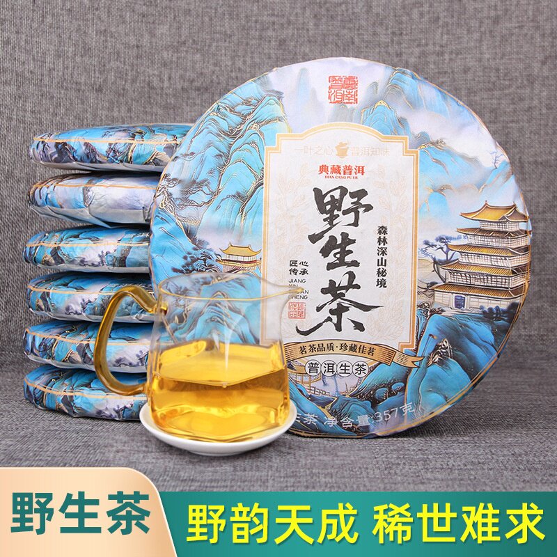 临沧荒野古树普洱生茶原料白莺山野生生茶饼357g荒山古树饼批发