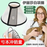 Элизабет Круг Дог и Кошки Круг Корт Кот Кот Противоречивая Керринг -Кэт Педань Педан