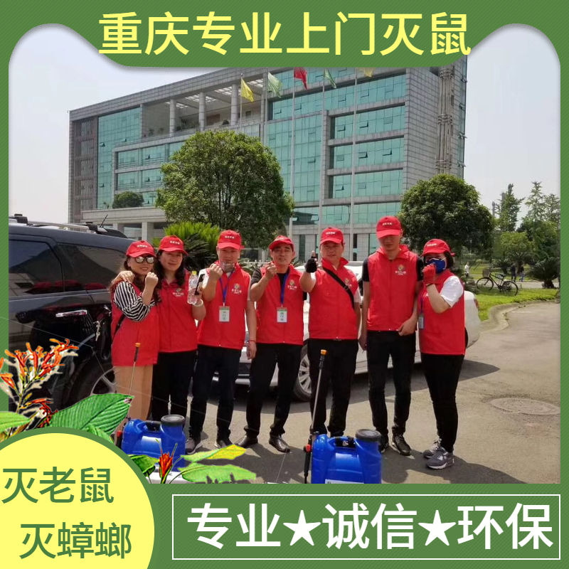 重庆上门灭鼠公司灭蟑螂除鼠白蚁防治除四害家庭灭虫害除虫公司