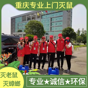 重庆上门灭鼠公司灭蟑螂除鼠白蚁防治除四害家庭灭虫害除虫公司
