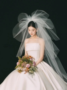 白 新娘结婚头纱头饰超仙森系婚纱头纱多层蓬蓬纱长款 2024新款 韩式