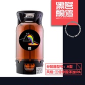 20L一次性桶 国产精酿啤酒 新货 黑客酿造棱镜浑浊IPA生啤啤酒