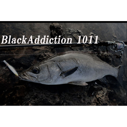 26新款 TRUTH 路亚竿 大型海鲈竿 日产 BlackAddiction 1011