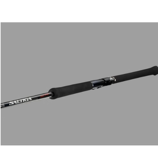 24新款DAIWA达瓦 SALTIGA BREAKTHROUGH 路亚竿 波爬竿