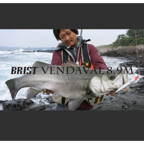 26新款 FISHMAN 三节路亚竿 海鲈竿 日产 FBR-89M