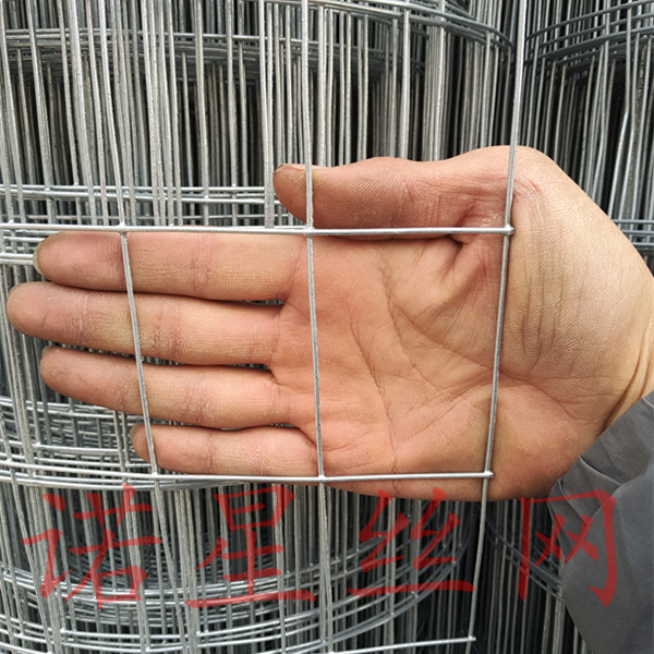 热镀锌小孔长方形孔格户外养殖网鸽鸟兔笼防护网镀锌铁丝网围栏