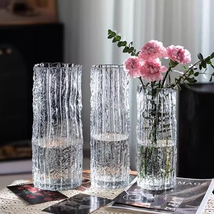 玻璃花瓶摆件客厅插花轻奢高级感水养水培富贵竹专用侘寂风大花瓶