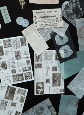 DIY相册素材包硫酸纸手账ins装饰拼贴材料包植物系文艺字体标签