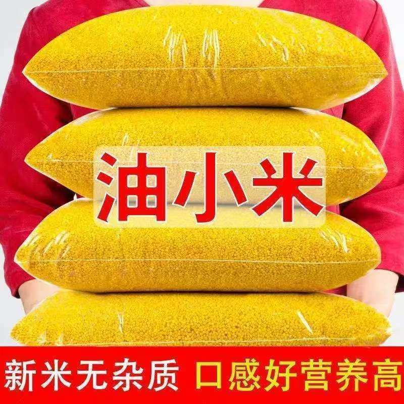 精选农家新货正宗黄小米米油丰厚宝宝辅食熬粥软糯香甜黄金小米粥