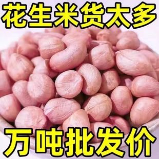 现剥新花生米生新货特级粉皮新鲜大粒花生米不带壳榨油白沙花生仁